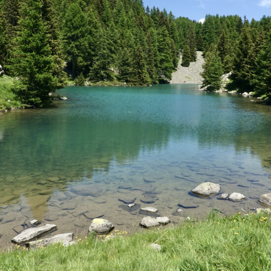 Lacs du Col Bas : lac de la Cabane