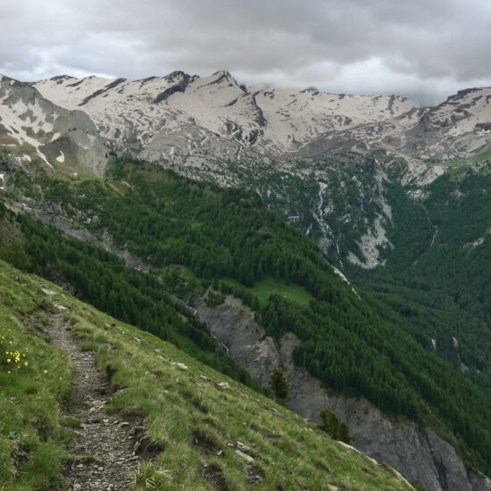 Le haut vallon du Laverq
