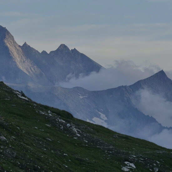 Bouquetin du soir au refuge de la Valette