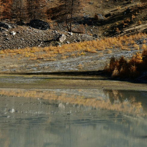 Vallon de Font Froid, Briançonnais