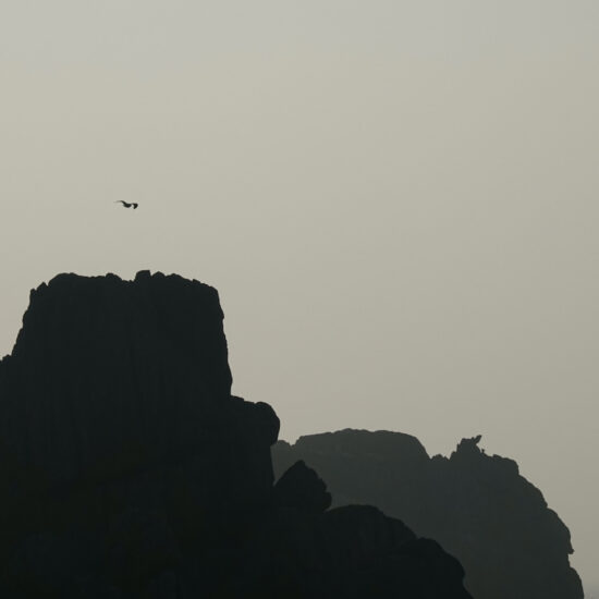 Tableau ouessantin